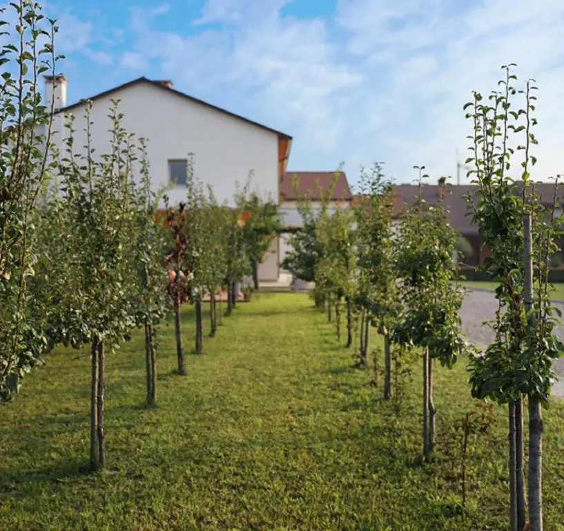 Agriturismo Corte Foscara