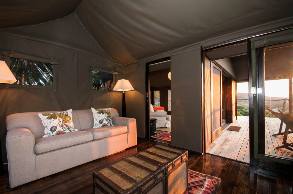 HillsNek Safari Camp - Amakhala Game Reserve
