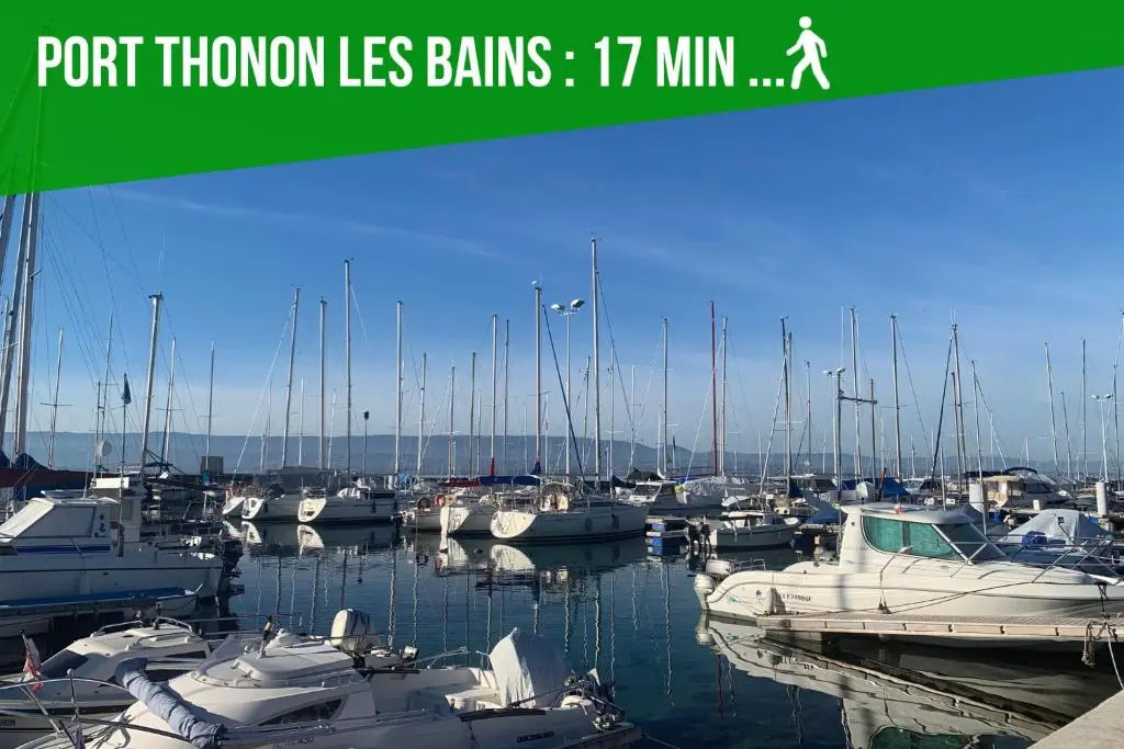 Viva Leman- HYPERCENTRE - VUE PANORAMIQUE- PARKING - WIFI