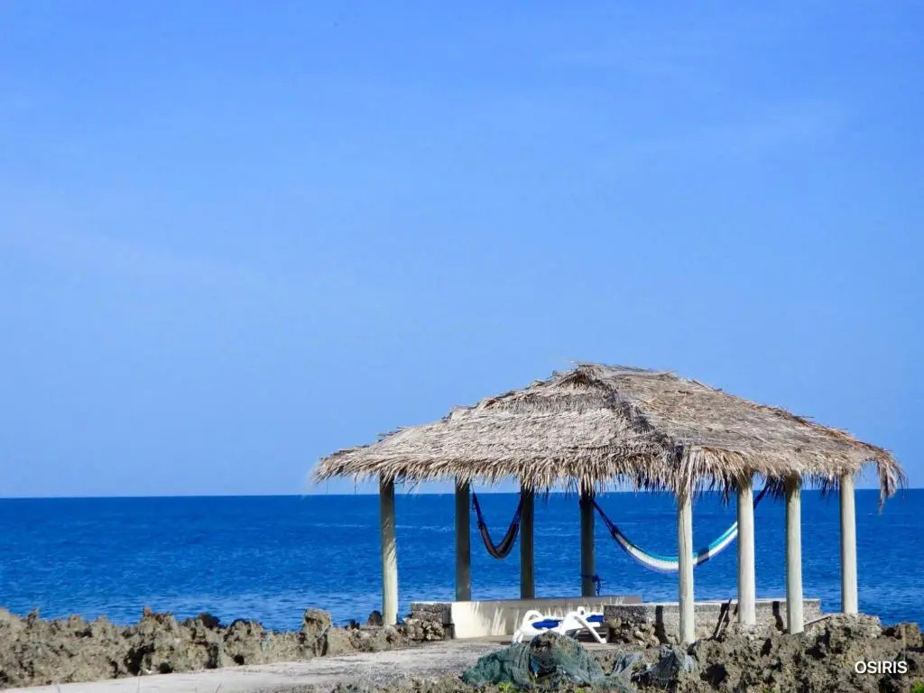 Seagrape Plantation Resort & Dive Center