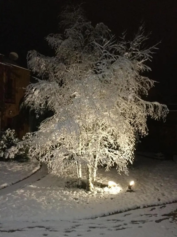 Les Crinieres En Brie