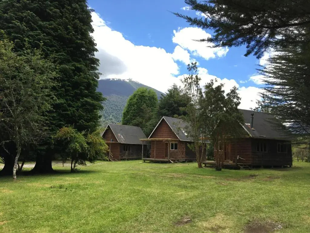 Bosque Patagonico Cabañas y Camping