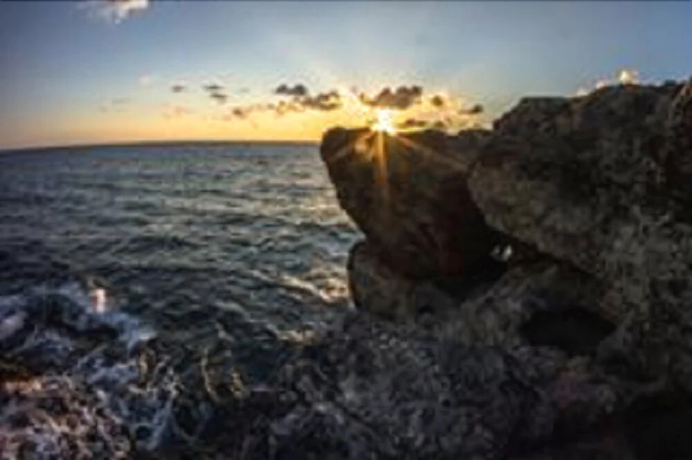 Grey Rocks