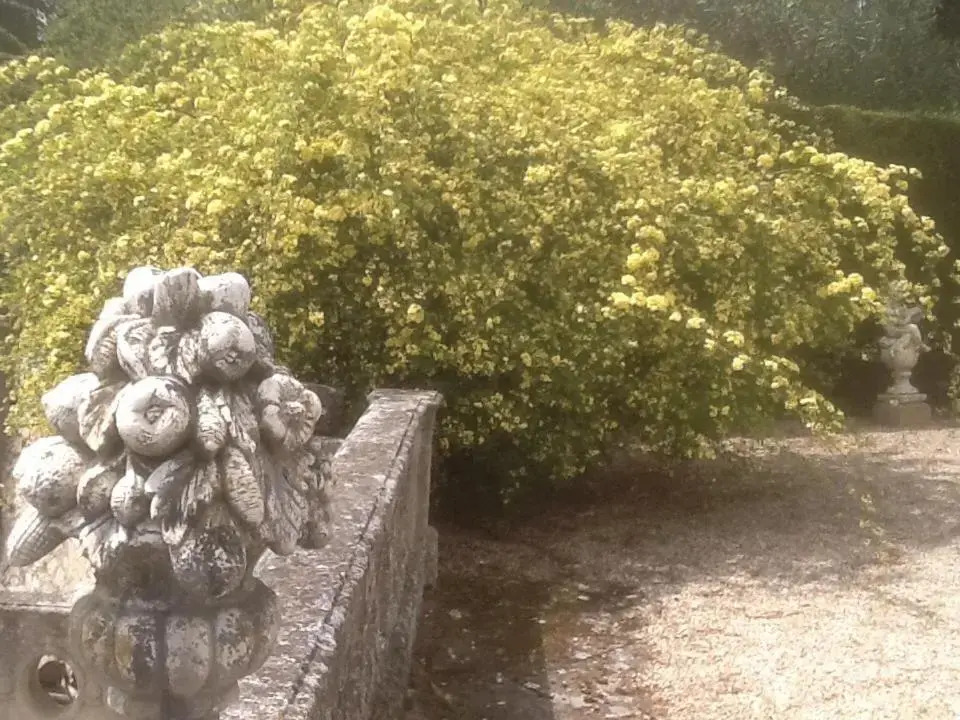B&B Château Légier