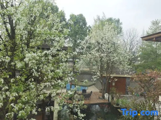 Shuitao Yaju Hostel