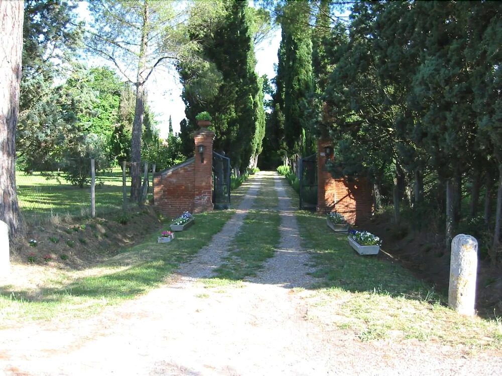 Zurli