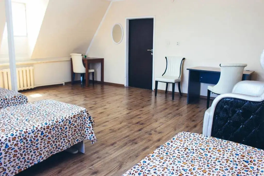 Guesthouse on Zhibek-Zholu 479