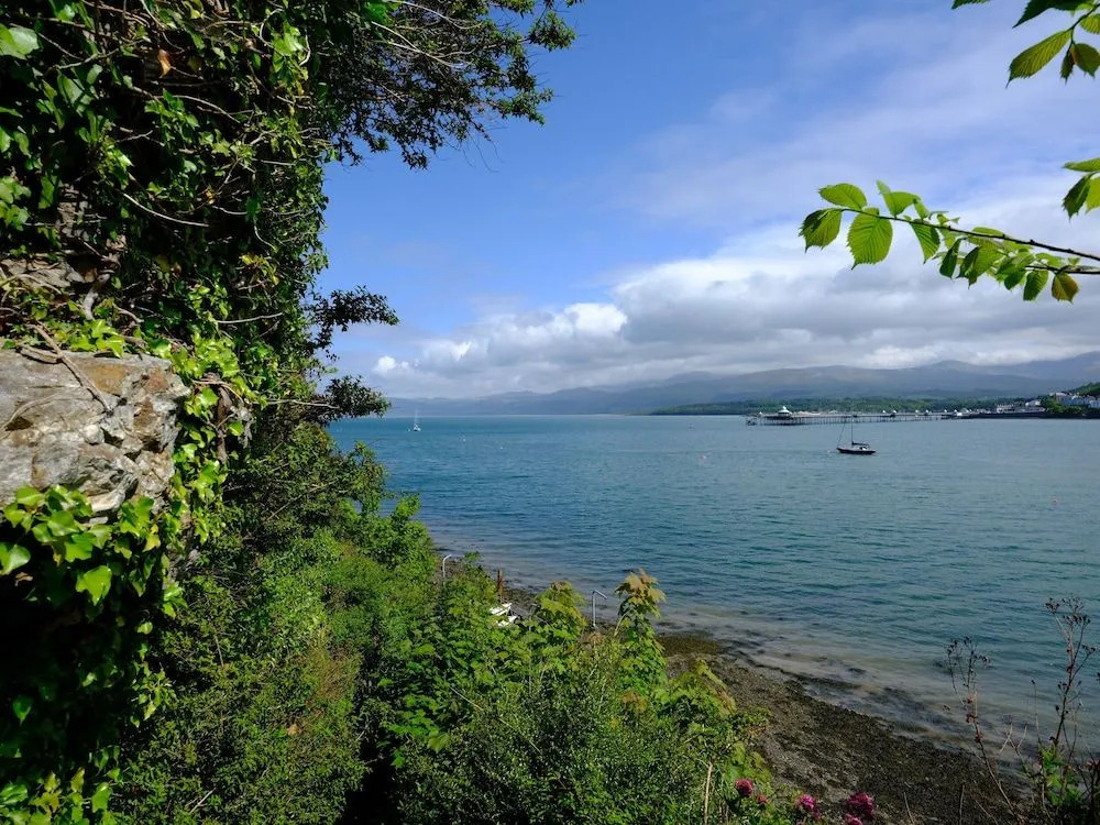 Tan Y Coed