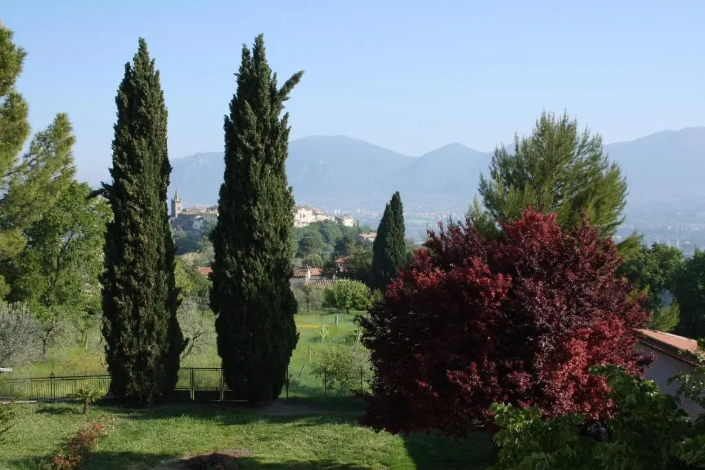 Le Storie di Bambu