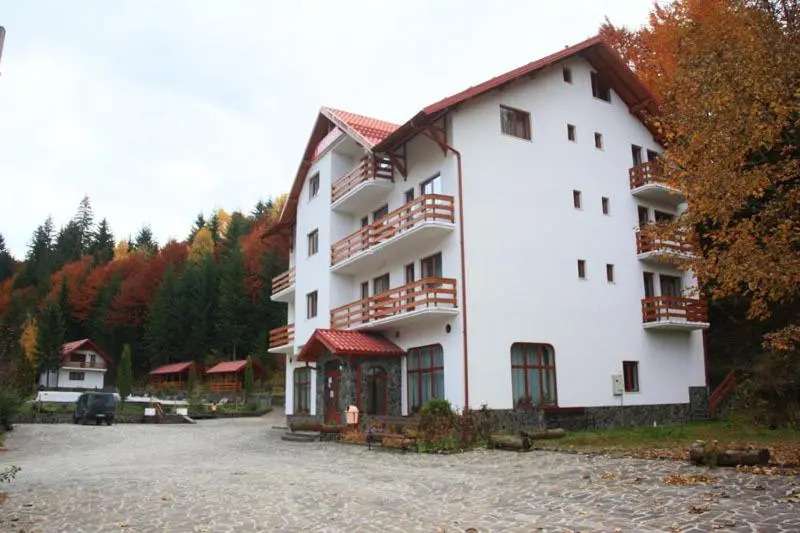Hotel Paltinis