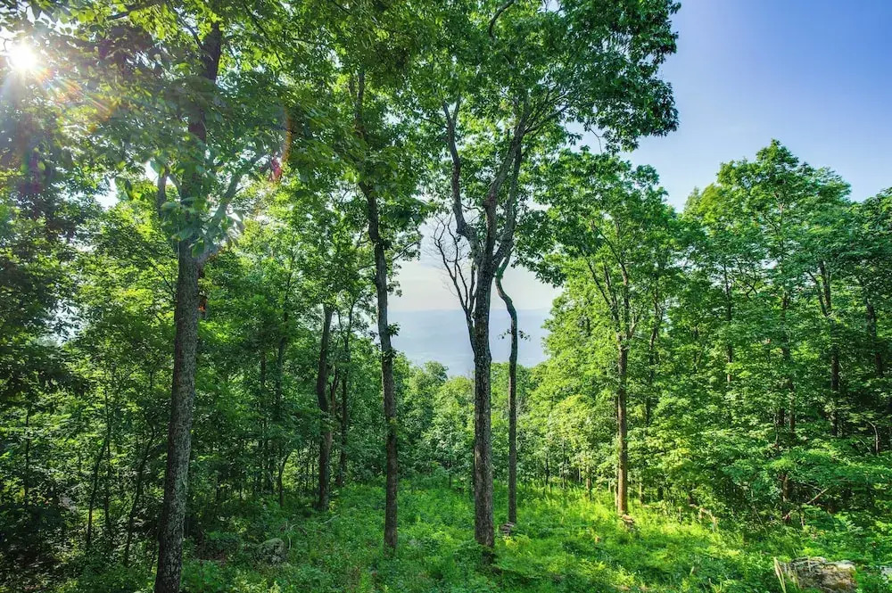 Serene Hideaway With Views, 1 Mi to Hike & Ski!