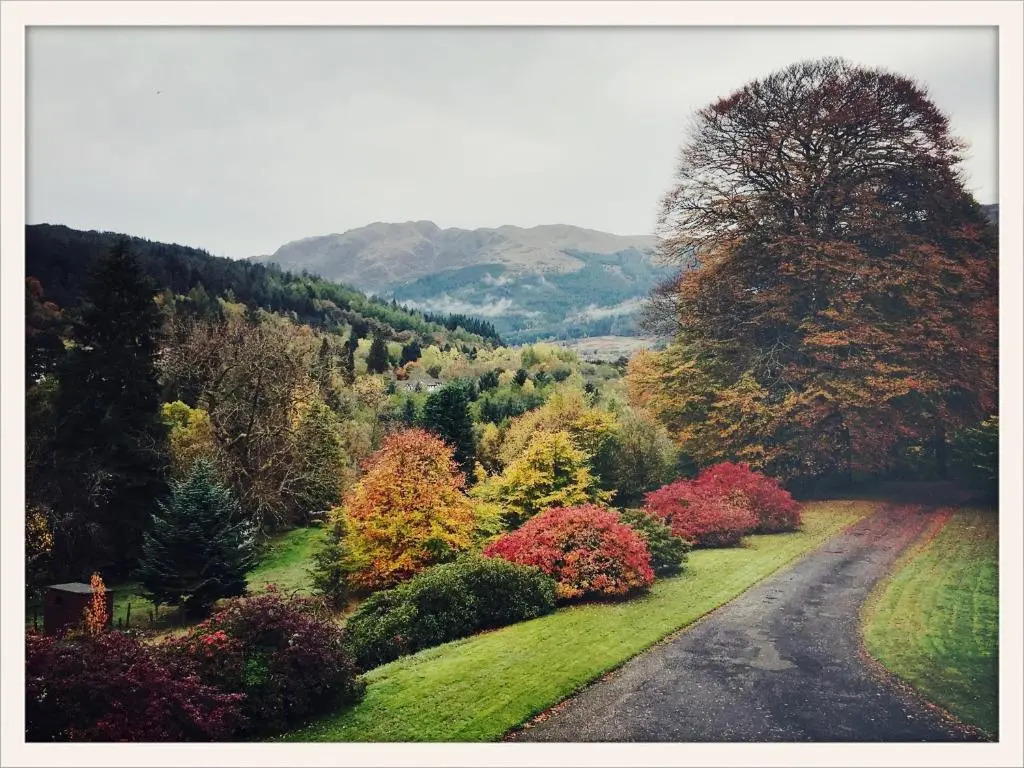 Hillside Log cabin, Ardoch Lodge, Strathyre