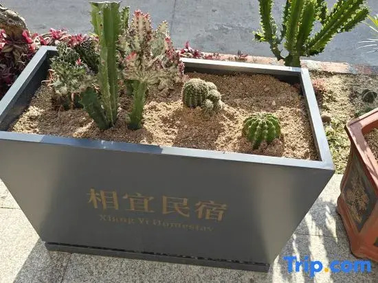 Meizhoudao Xiangyi Homestay