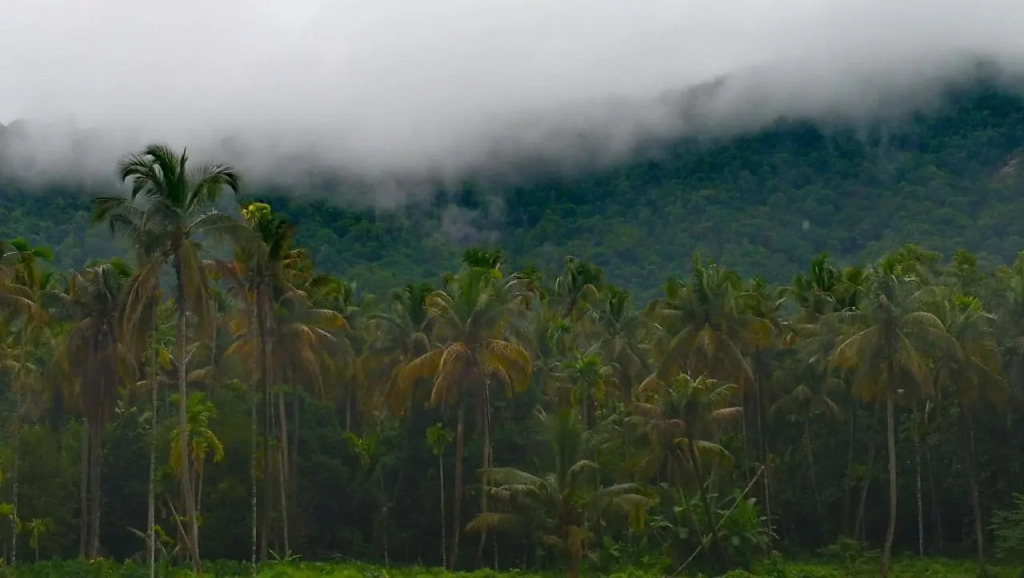 The Anchorage Athirapilly Resort