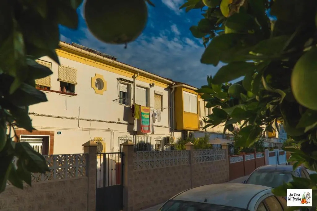 La Casa del Druida II