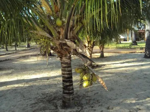 Villas de Guajirú, Casa 1