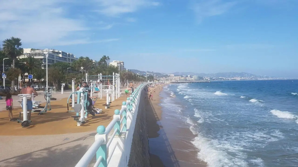 T2 rez de jardin front de mer