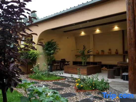 Liuxing Street Meet the Homestay Designer Homestay