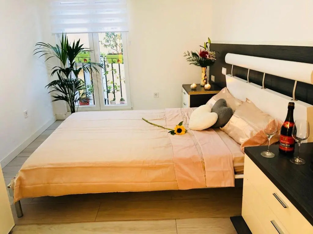 Apartment in Sol