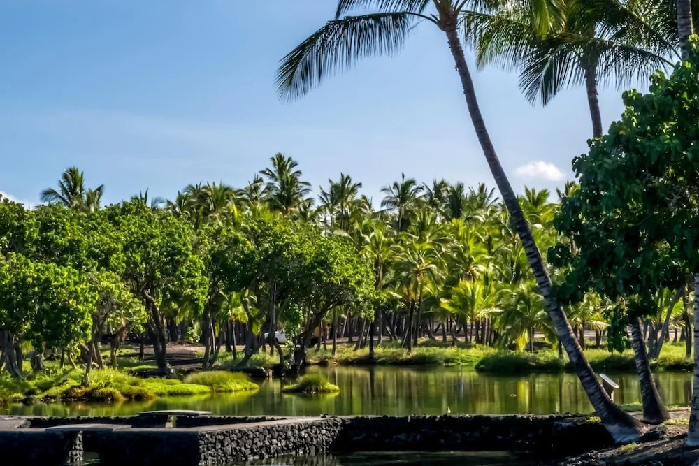 Islands at Mauna Lani IML-E4 by KBM