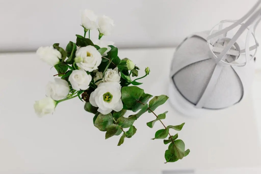 White Stylish Apartments