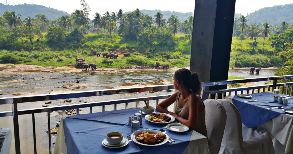 Elepath Lodge Pinnawala