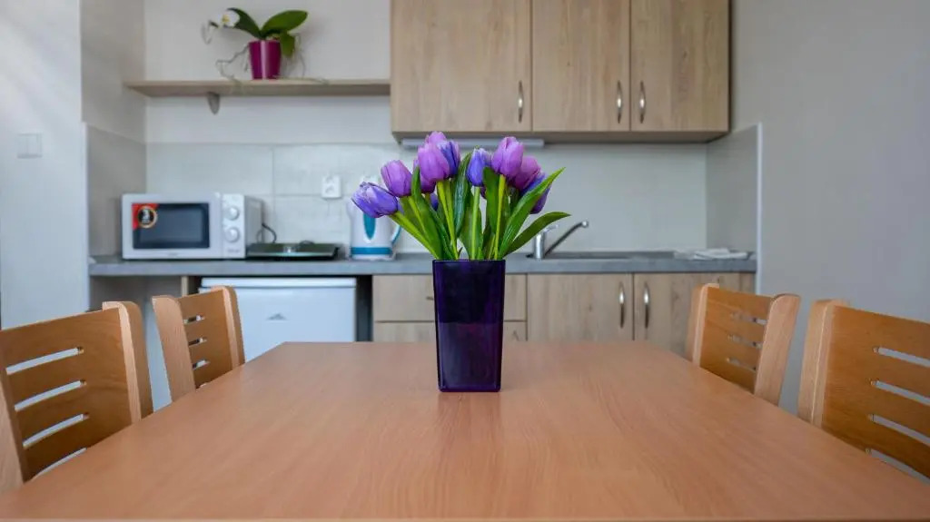 Apartmány a Studia Zámecký park