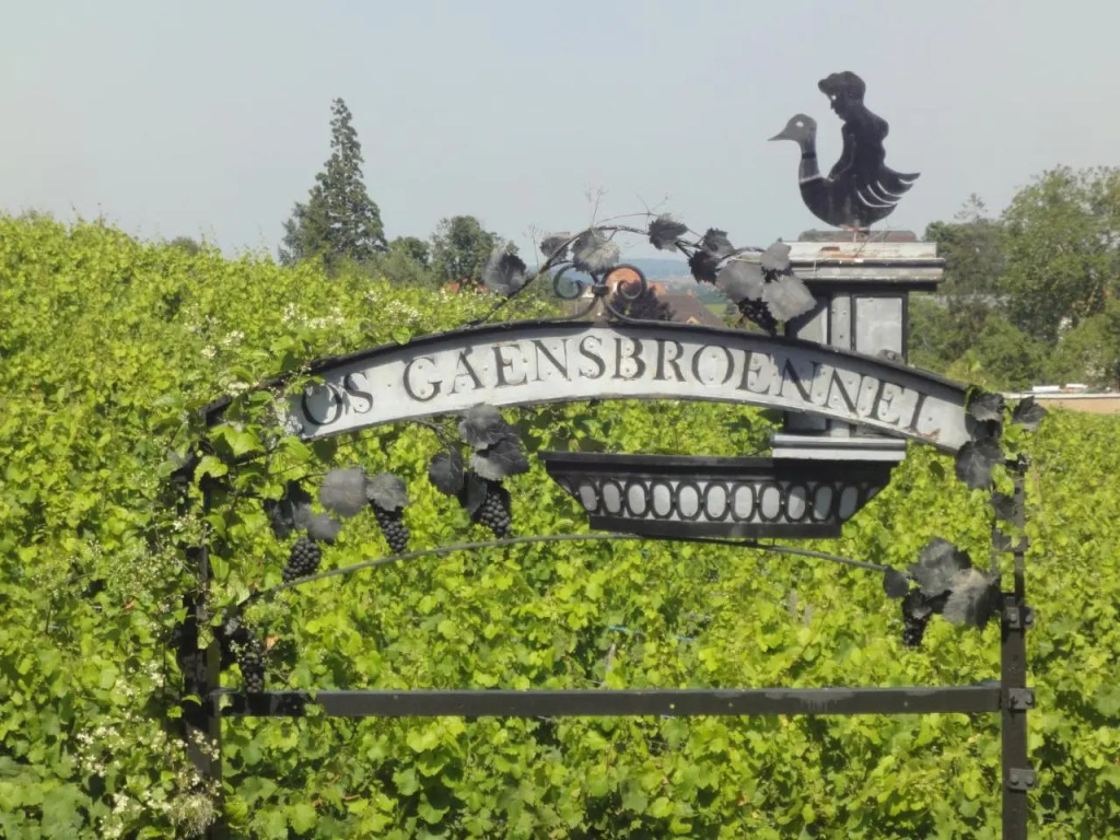 Le Bacchus