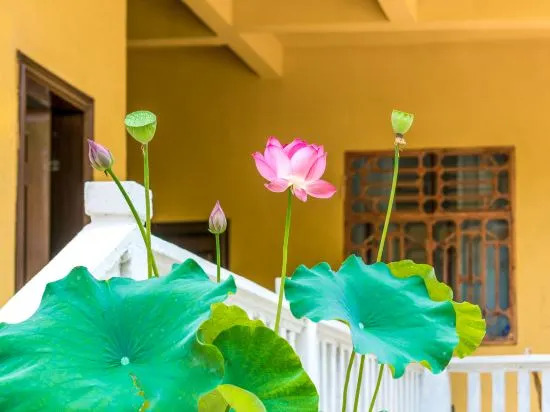 Puzhehei Jiuqi Mountain House Inn