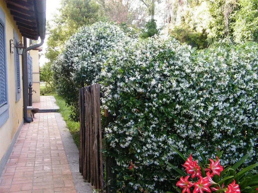 Vallelunga Guesthouse