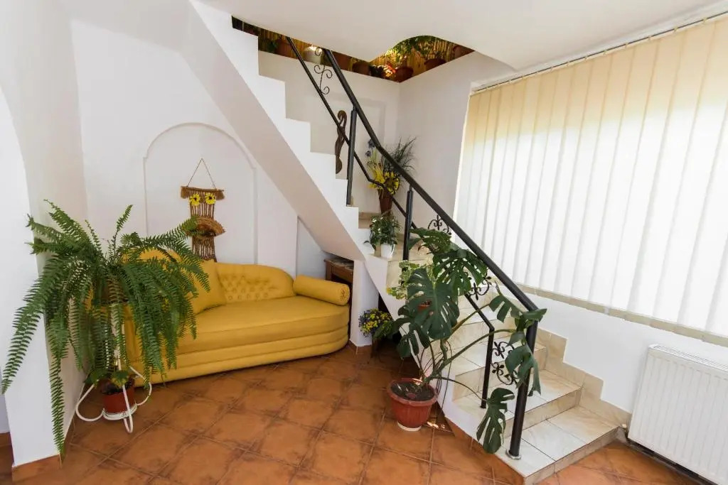 Vila Daiana- Acceptam vouchere vacanta
