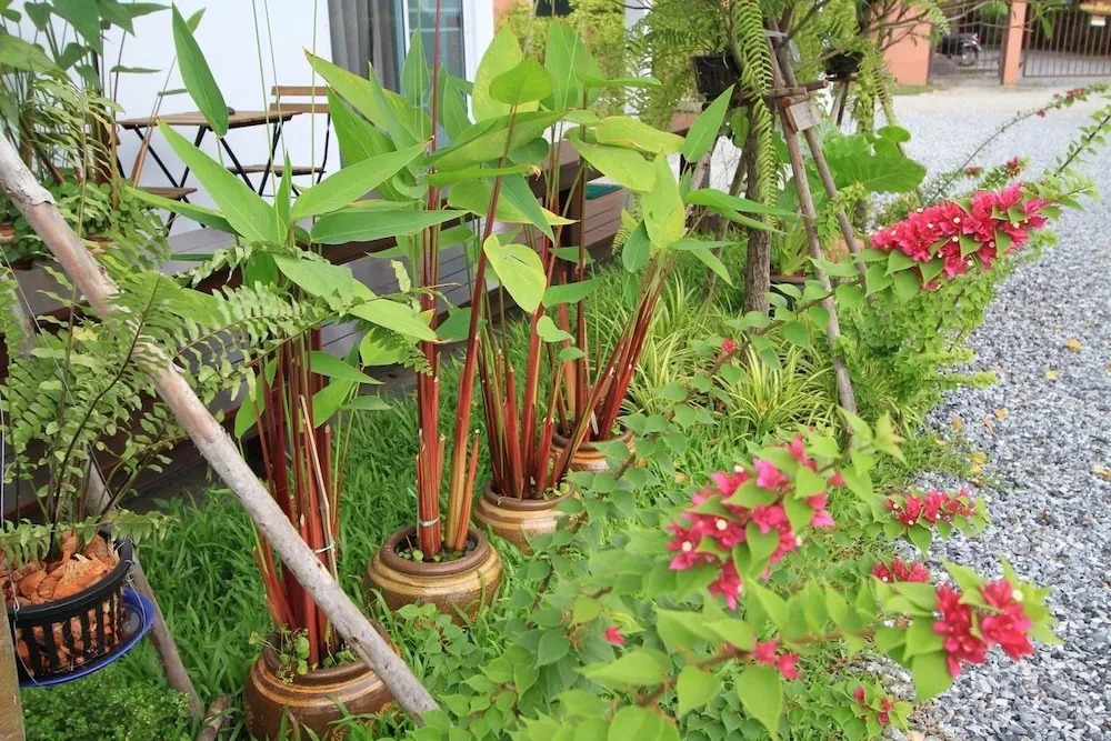HomeMi House Homestay