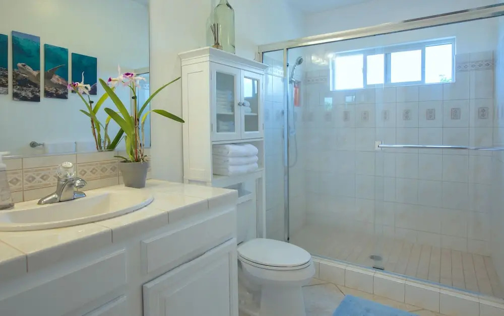 7 C's Kona (big Island) 3 Bedroom Home
