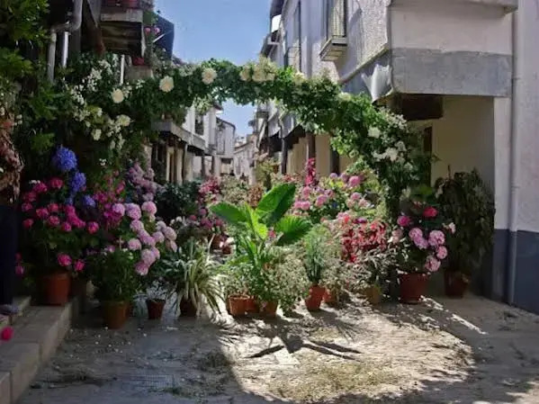Apartamentos Turisticos Mirayuste
