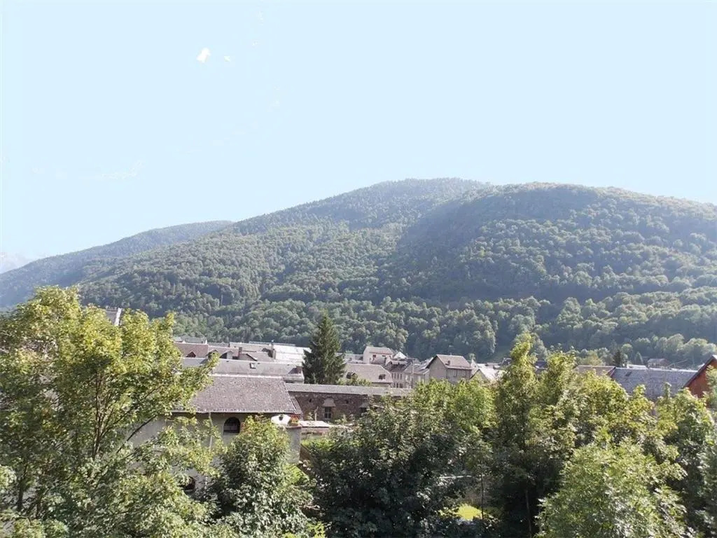 Appartement Bagnères-de-Luchon, 2 pièces, 4 personnes - FR-1-313-146
