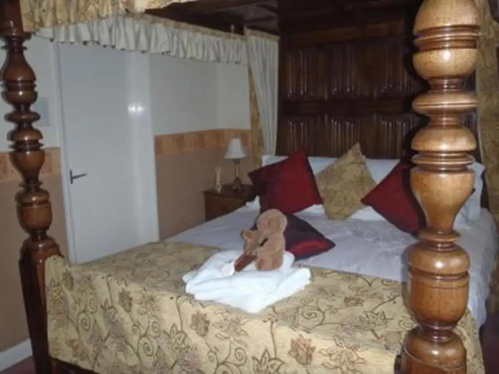 Ivy Guest house