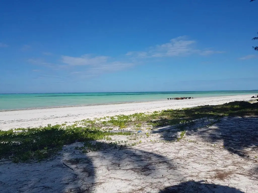 Drifters Zanzibar