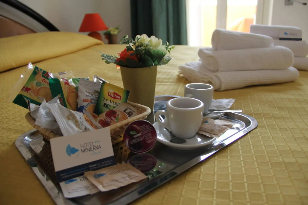 Hotel Minerva