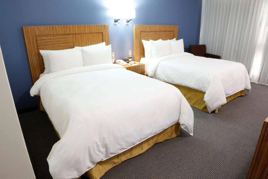 Radisson Hotel & Convention Center Toluca