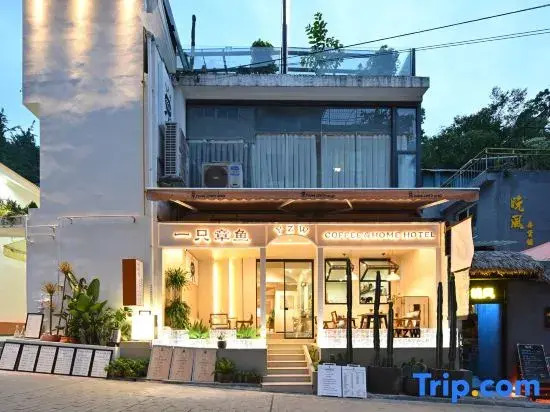 An Octopus Y.Z.W Homestay