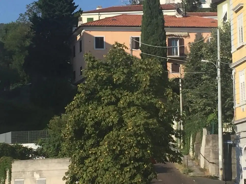 Al Canton Apartments