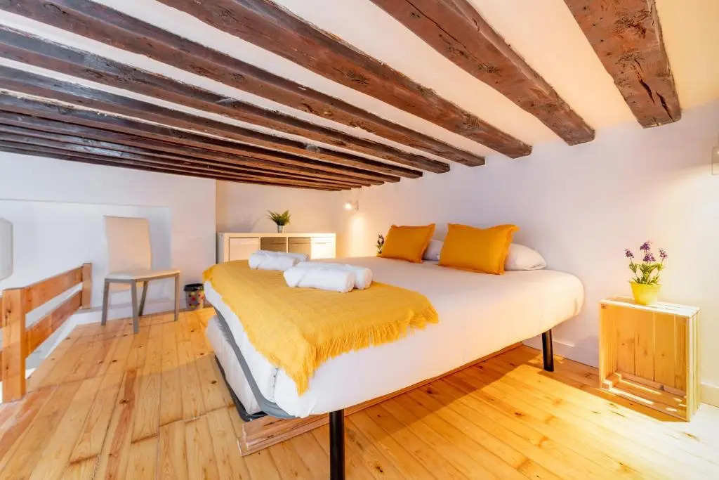 Duplex Lavapies 1BD