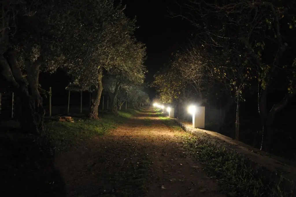 Quinta da Sardinha