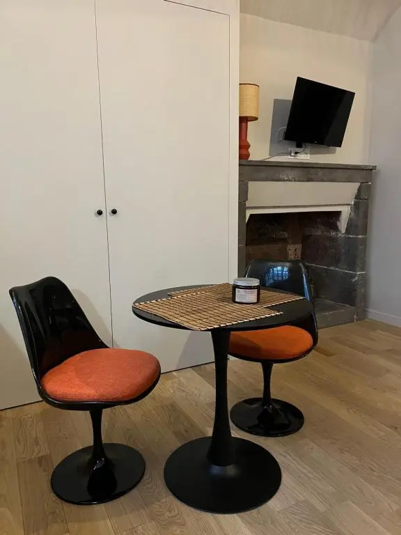 Appartement 35 m2 Hôtel Particulier XVII ieme Centre Historique Clermont-Ferrand-Lucas II