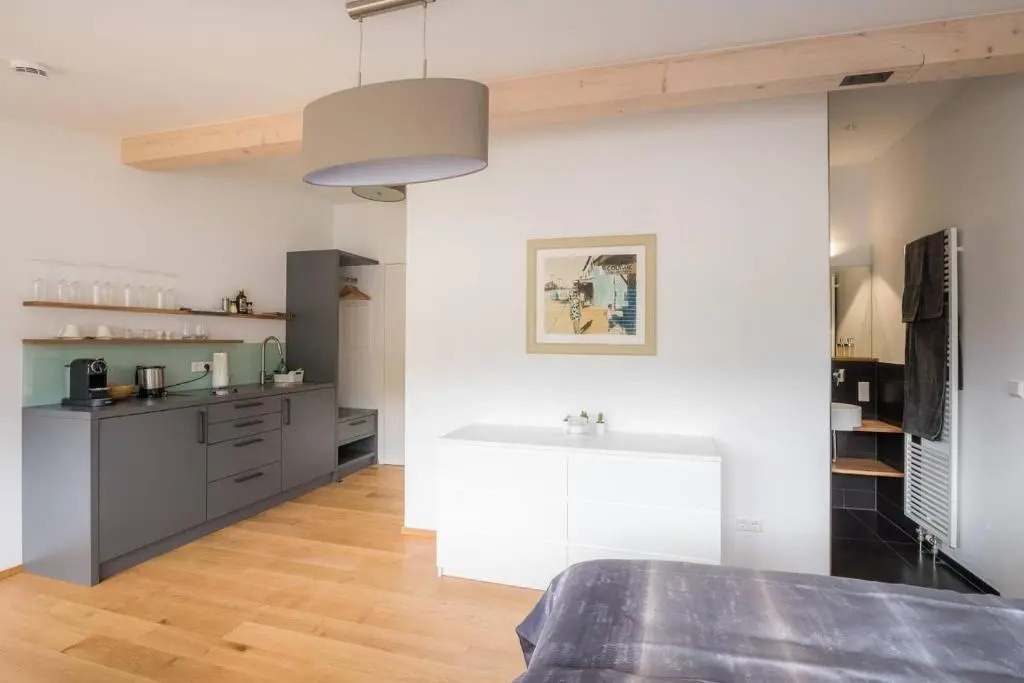 Moderne Apartments im stilvollen Altbau