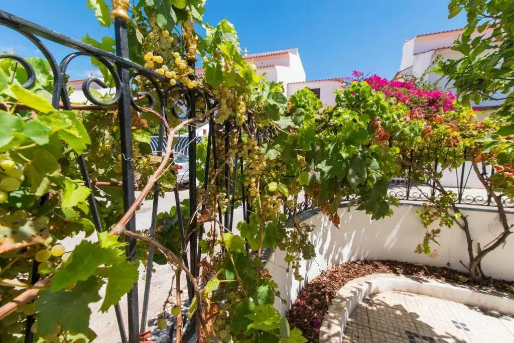 Casa da Aldeia - Porches