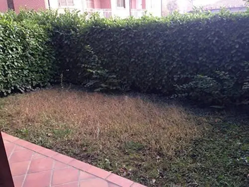 Residence Il Podere