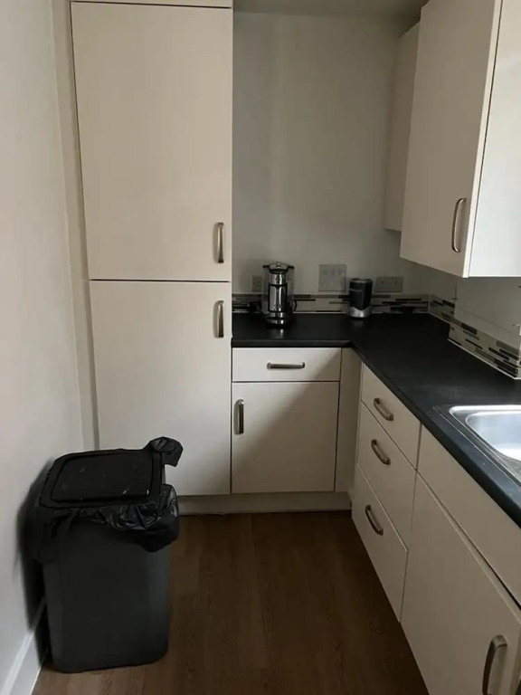 Immaculate 1-bed Apartment in East London
