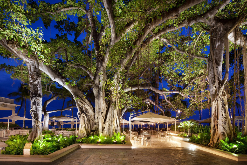 Moana Surfrider, A Westin Resort & Spa, Waikiki Beach