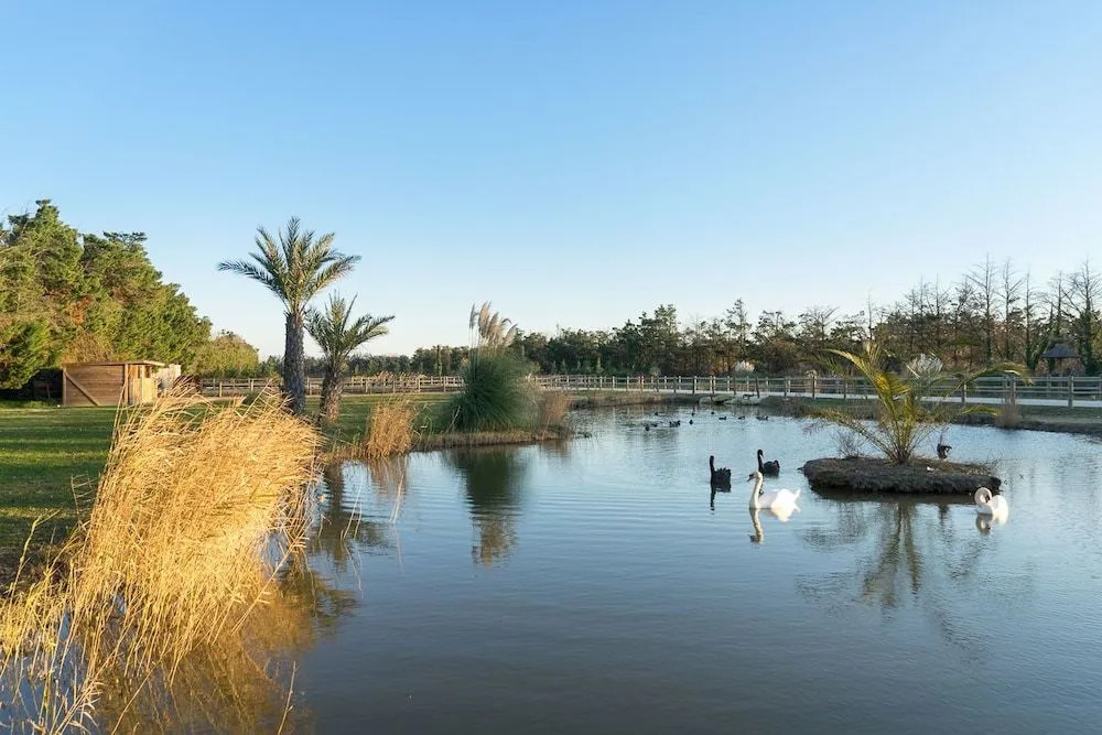 Abri Cosy - Suite Romantique en Camargue